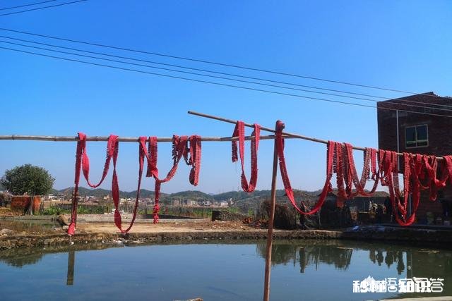 春节大家都爱好放鞭炮,这个习俗有什么说法吗