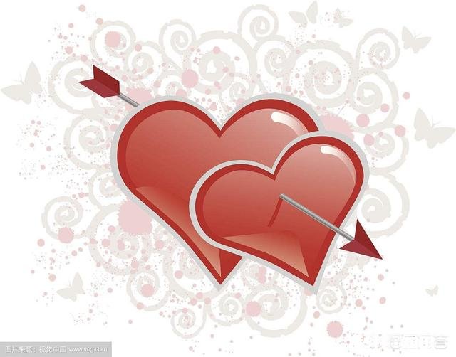 一份感动的爱情和一份金钱的婚姻，你怎么选