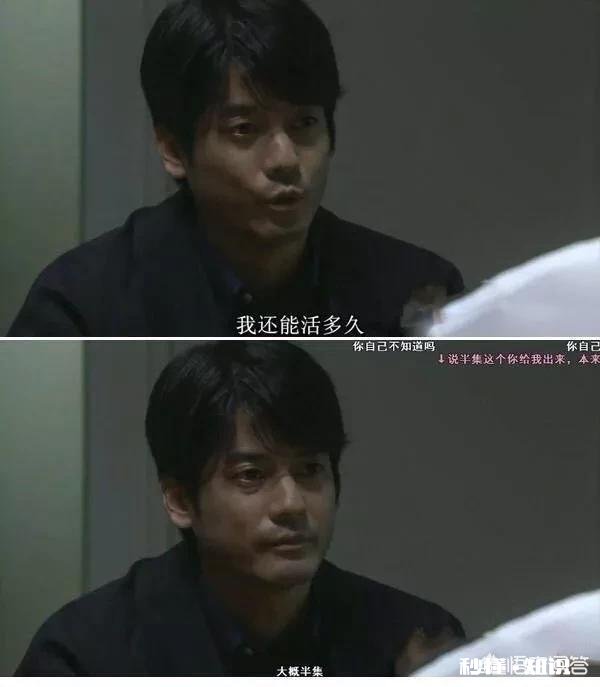 求分享,你遇到过最搞笑的弹幕是什么