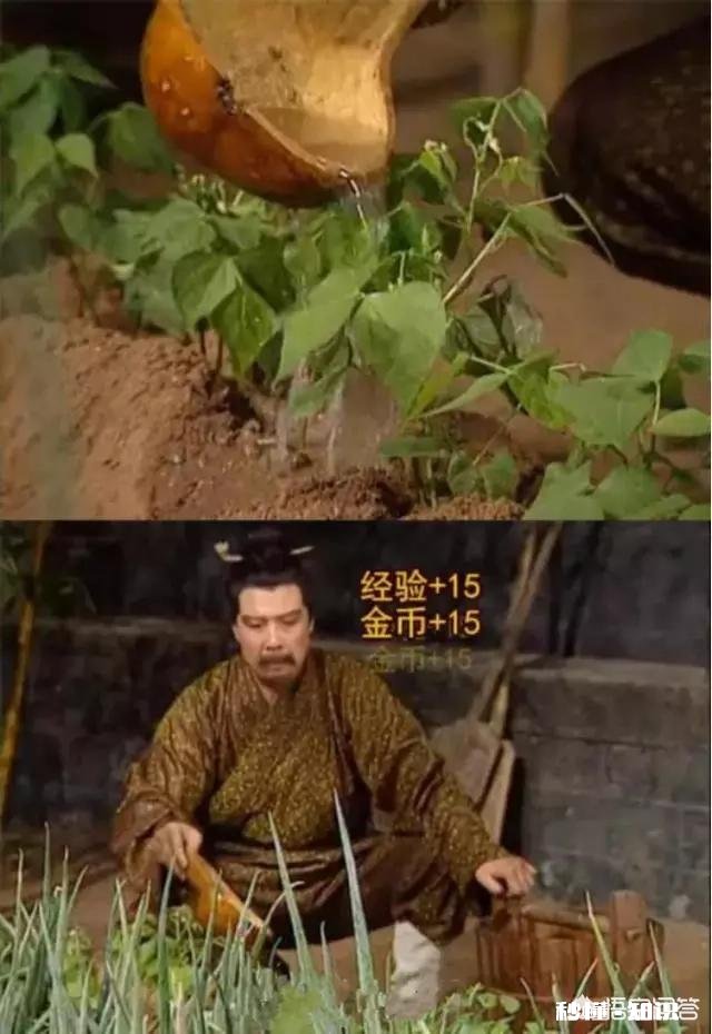 求分享,你遇到过最搞笑的弹幕是什么