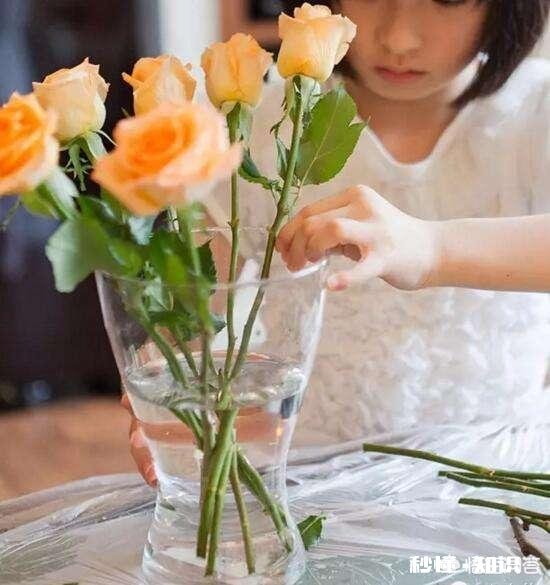 买回家的鲜花怎么样才能保持长时间不枯萎