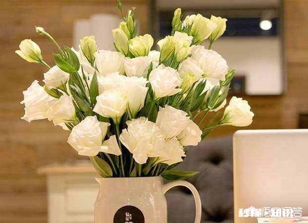 买回家的鲜花怎么样才能保持长时间不枯萎