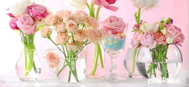 买回家的鲜花怎么样才能保持长时间不枯萎