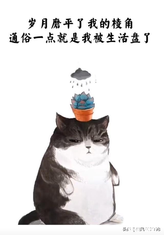 都说月子仇会记一辈子,那怀孕期的恨会记多久有多深