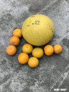 自己患有抑郁症焦虑症，抑郁症自己走出来了，还有焦虑症咋办呀，脑子都快想炸了