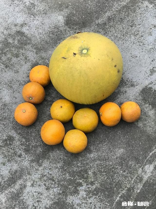 自己患有抑郁症焦虑症,抑郁症自己走出来了,还有焦虑症咋办呀,脑子都快想炸了