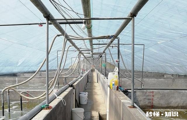 为什么一些搞养殖的朋友都说不挣钱,还在坚持