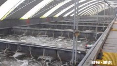 为什么一些搞养殖的朋友都说不挣钱，还在坚持