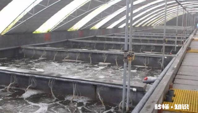 为什么一些搞养殖的朋友都说不挣钱,还在坚持