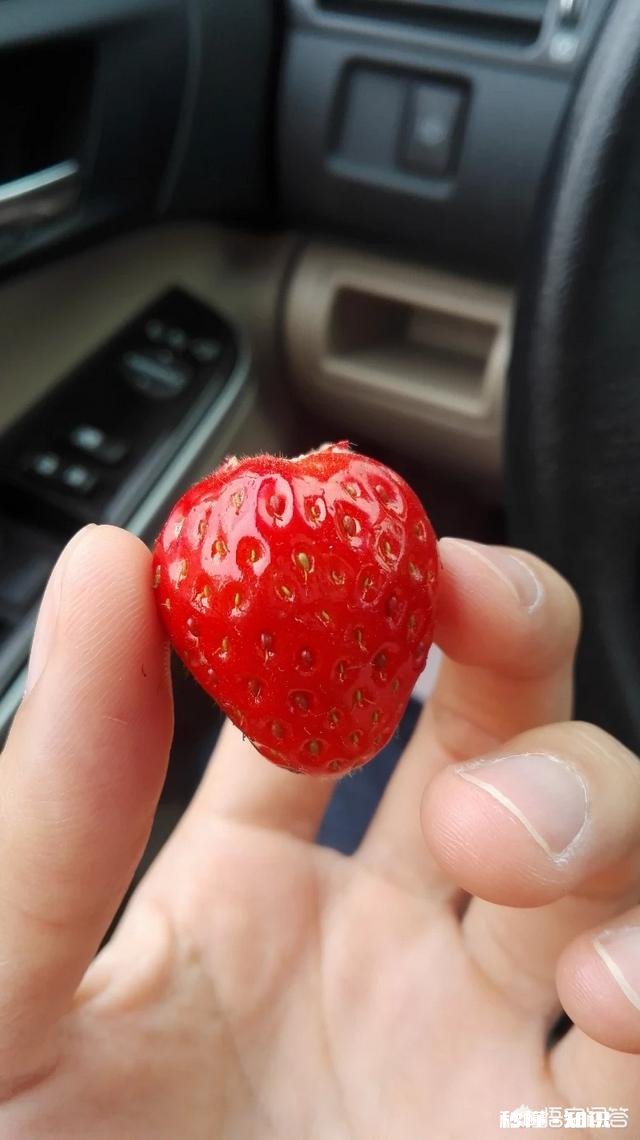 大家觉得心灵鸡汤有用吗以前信，现在不信了，觉得就是洗脑的玩意