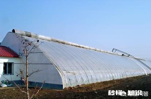 塑料大棚和日光温室有什么不同