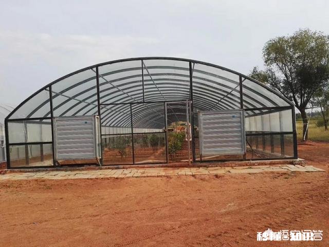 塑料大棚和日光温室有什么不同
