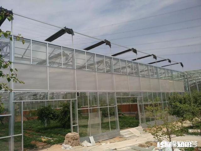 塑料大棚和日光温室有什么不同