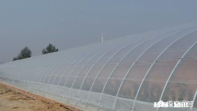 塑料大棚和日光温室有什么不同