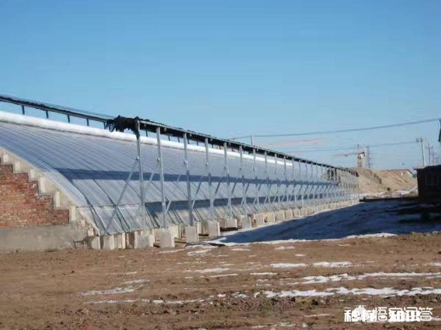 塑料大棚和日光温室有什么不同