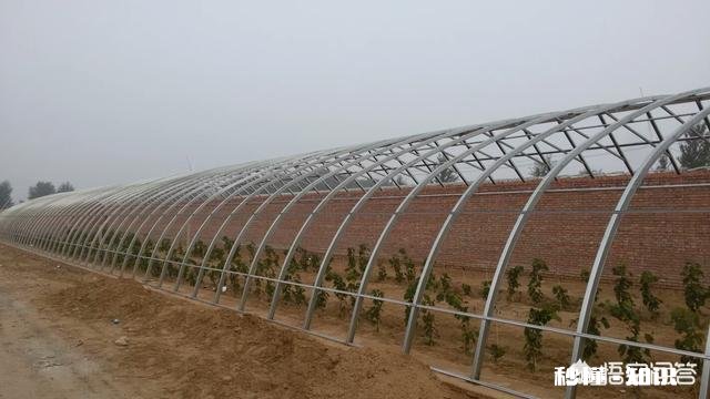 塑料大棚和日光温室有什么不同