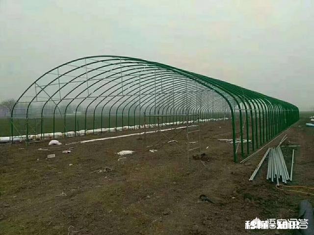 塑料大棚和日光温室有什么不同