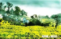 小鹅一个劲喝水怎么回事