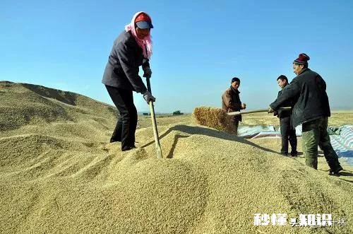 国人在农民粮食涨不涨价这个问题上总是看法不一样，大家怎么看