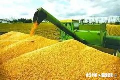 国人在农民粮食涨不涨价这个问题上总是看法不一样，大家怎么看