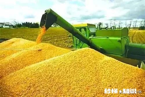 国人在农民粮食涨不涨价这个问题上总是看法不一样，大家怎么看