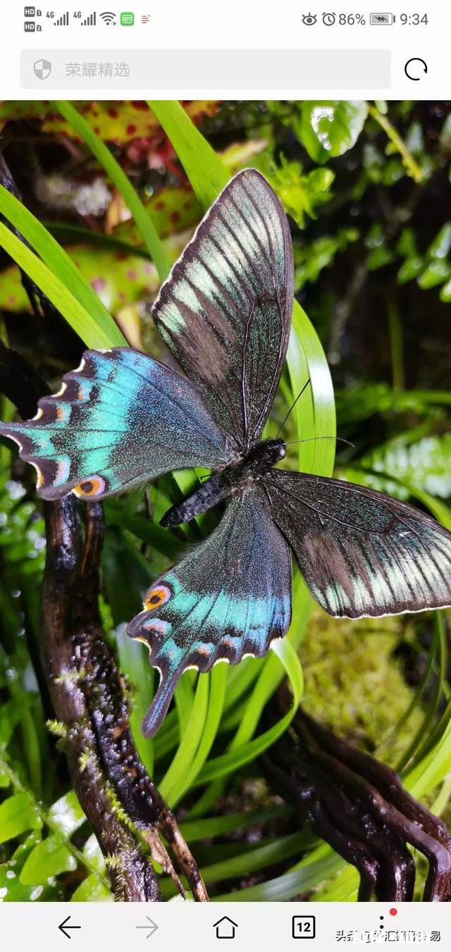 每天心情低落，压抑着，每天强颜欢笑，如何走出来