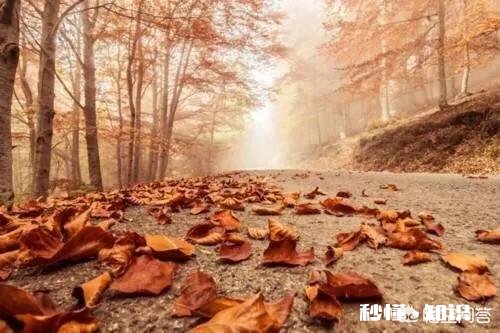 我们都是第一次生而为人，是否应该迁就别人