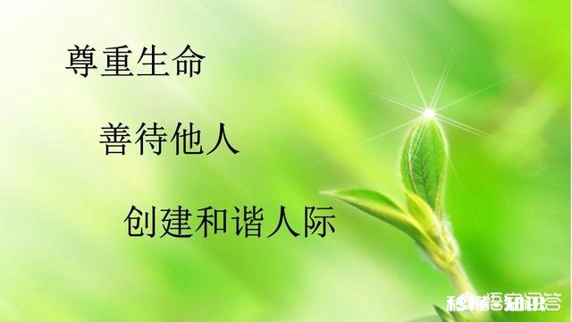 我们都是第一次生而为人，是否应该迁就别人