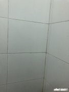 公司领导对自己不待见，该不该送礼