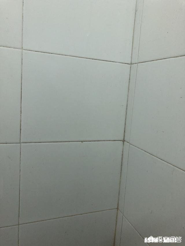 公司领导对自己不待见，该不该送礼