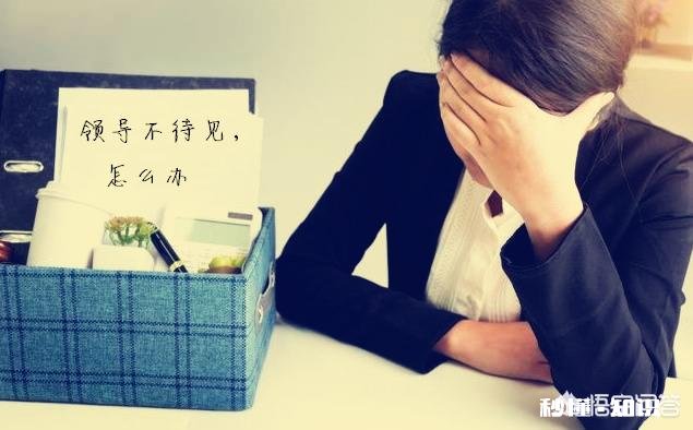 公司领导对自己不待见，该不该送礼