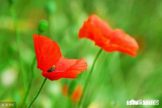 在一起5年了，现在的感觉还是爱吗