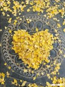 爱情会被生活磨灭掉吗