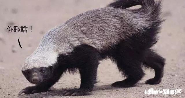 生气特别想骂人怎么办，该如何调整自己心态