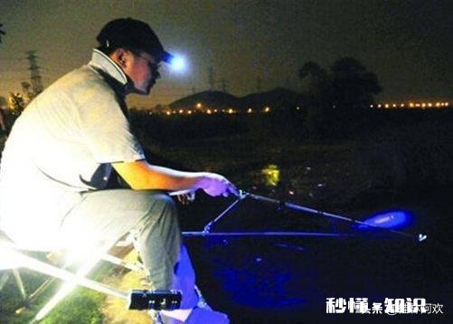 夜钓用电子漂挂玉米怎么调漂