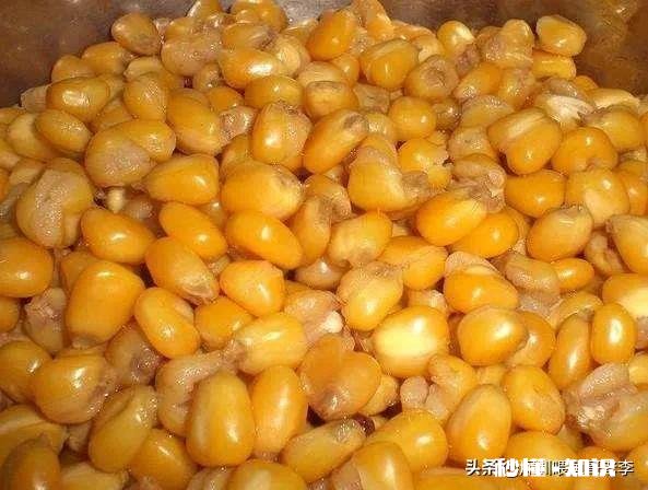 夜钓用电子漂挂玉米怎么调漂