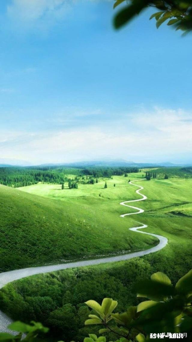 曾经最熟悉的朋友，最后都走散了，感觉自己现在很孤独。我该怎么开始新的生活