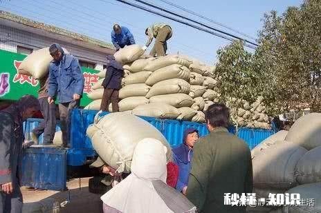 如果你是农民，卖粮时被当地经营者坑骗，怎么解决