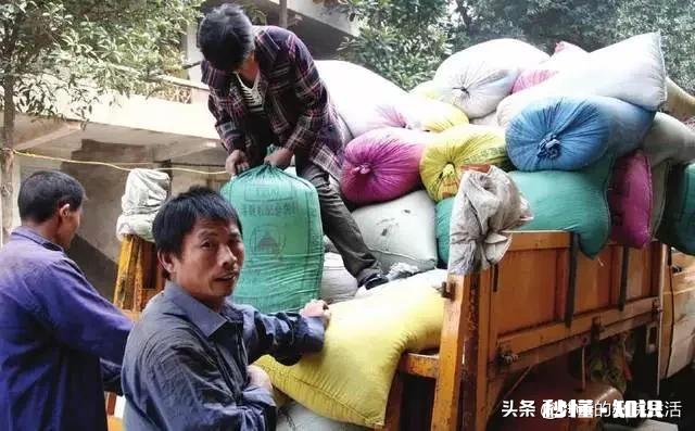 如果你是农民，卖粮时被当地经营者坑骗，怎么解决