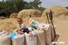 如果你是农民，卖粮时被当地经营者坑骗，怎么解决