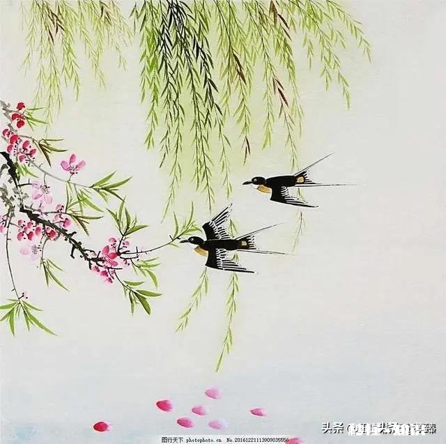 我深爱着一个人,可很痛苦,有一个人很爱我可我没感觉,我该怎么办