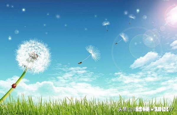 我深爱着一个人,可很痛苦,有一个人很爱我可我没感觉,我该怎么办