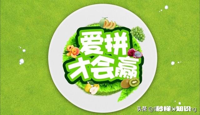 有人说“职场中，你最好有个能赚钱的业余爱好”你怎么看