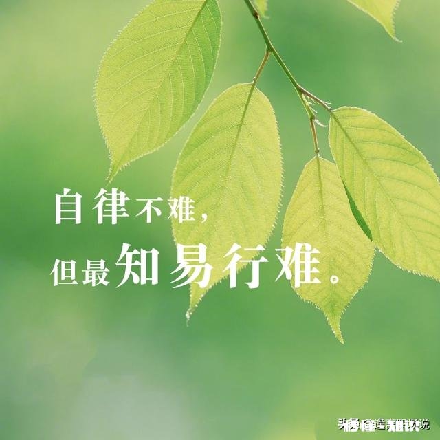 有人说“职场中，你最好有个能赚钱的业余爱好”你怎么看