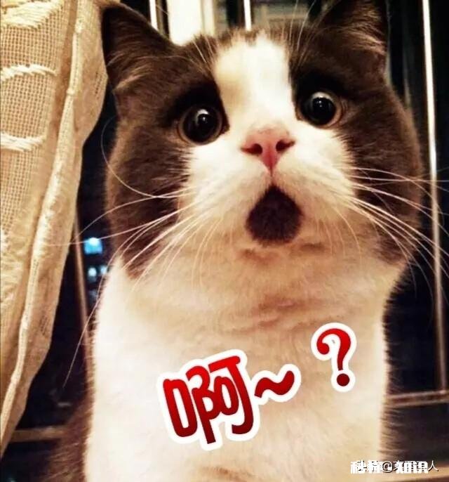 对你好的人一定是爱你的吗