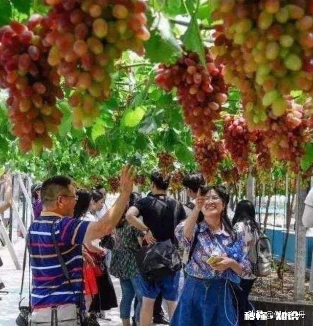 上联:数间茅屋闲临水，醒醉垂杨里。下联怎么对