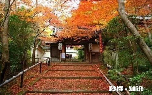 上联:数间茅屋闲临水，醒醉垂杨里。下联怎么对