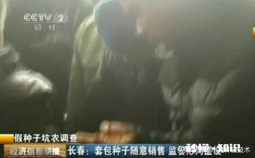 为什么要使用进口的种子呢感觉现在中国科技也不差啊