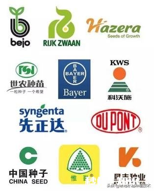 为什么要使用进口的种子呢感觉现在中国科技也不差啊