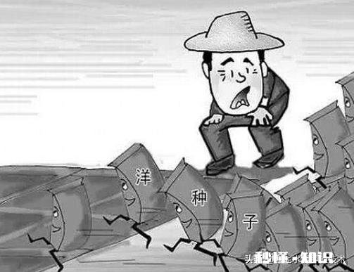 为什么要使用进口的种子呢感觉现在中国科技也不差啊